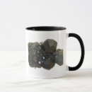 Search for natural sciences mugs Cutout