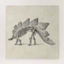 Search for paleontology puzzles Prehistoric