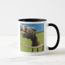 Search for horse eye mugs Vertical