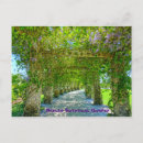 Search for queens postcards Botanical