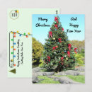 Search for florida christmas postcards Gator
