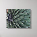 Search for agave art Botanical