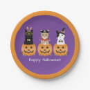 Search for white tiger paper plates Cats