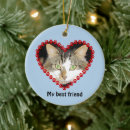Search for photo pet memorial ornaments Memory