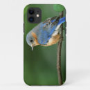 Search for bluebird iphone cases Nature