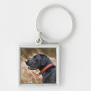 Search for black labradors key rings Outdoors