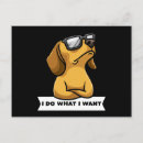 Search for weiner postcards Dachsie