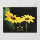 Search for flower petals postcards Yellow