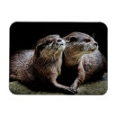 Search for otter magnets Nature