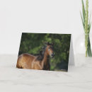 Search for bob cards Headshot