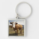 Search for carefree key rings Animal