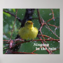 Search for warbler posters Birding