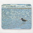 Search for birdwatcher mousepads Birding