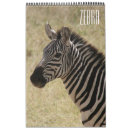 Search for kenya photography Travel