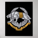 Search for special operations art Ukraine