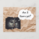 Search for yet postcards Funny