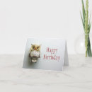 Search for hedwig cards Owl