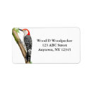 Search for woodpecker return address labels Birding