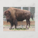 Search for san francisco souvenir Cool