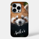 Search for racoon cases Animals