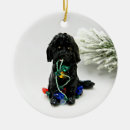 Search for cockapoo christmas tree decorations Doodle