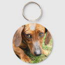 Search for sausage key rings Cute