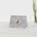 Search for symbols note cards Symbolism