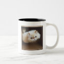 Search for boxes mugs Photography