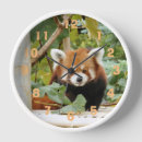 Search for red clocks Animal