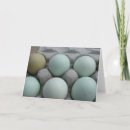 Search for carton cards Eggs