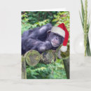 Search for funny monkey christmas cards Humour