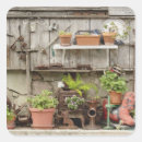 Search for catalina stickers California