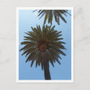 Search for summer break postcards Beach