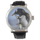 Search for pole watches Antarctica