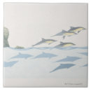 Search for emotion tiles Animal