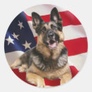 Search for police dogs stickers Gsd