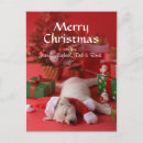 Search for golden retriever puppies postcards Full length