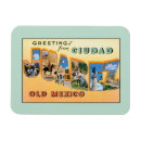 Search for mexico souvenir magnets Vintage