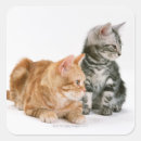 Search for interest stickers Animals