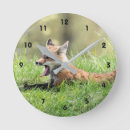 Search for fox clocks Canine