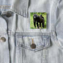 Search for infant badges Wildlife