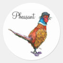 Search for funny pheasant Wildlife