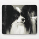 Search for papillon mousepads Dog