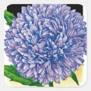 Search for aster stickers Garden
