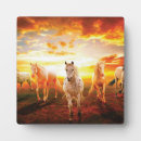 Search for horse plaques Wild horses