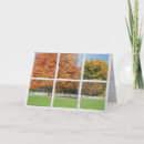 Search for oak tree cards Autumn