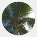 Search for tropical coconut stickers Palm
