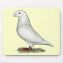 Search for white doves mousepads Pigeon