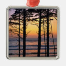 Search for washington state christmas tree decorations Olympic