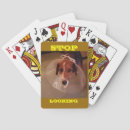 Search for five stud Gamble